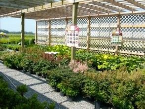 Country Living Produce, Millsboro, DE