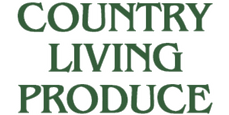 Logo, 