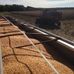 Country Living Produce, Millsboro, DE