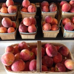 Country Living Produce, Millsboro, DE