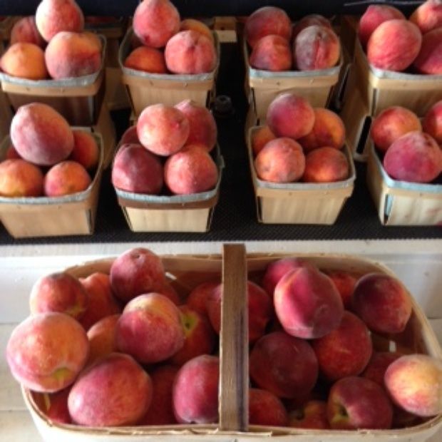 Country Living Produce, Millsboro, DE
