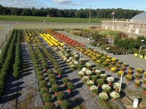 Country Living Produce, Millsboro, DE