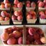Country Living Produce, Millsboro, DE