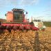 Country Living Produce, Millsboro, DE