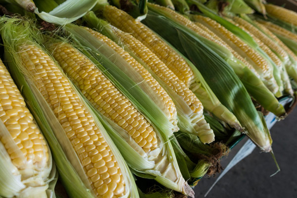 Country Living Produce, Millsboro, DE