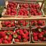 Country Living Produce, Millsboro, DE