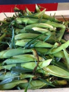 Country Living Produce, Millsboro, DE