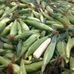Country Living Produce, Millsboro, DE