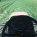 Country Living Produce, Millsboro, DE