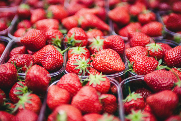 Country Living Produce, Millsboro, DE