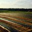 Country Living Produce, Millsboro, DE