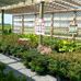 Country Living Produce, Millsboro, DE