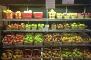 Country Living Produce, Millsboro, DE