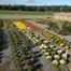 Country Living Produce, Millsboro, DE
