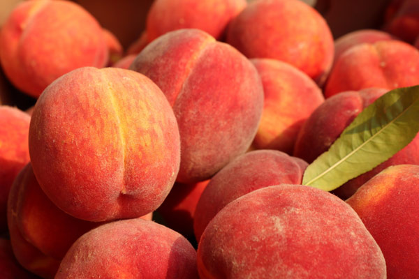 Country Living Produce, Millsboro, DE